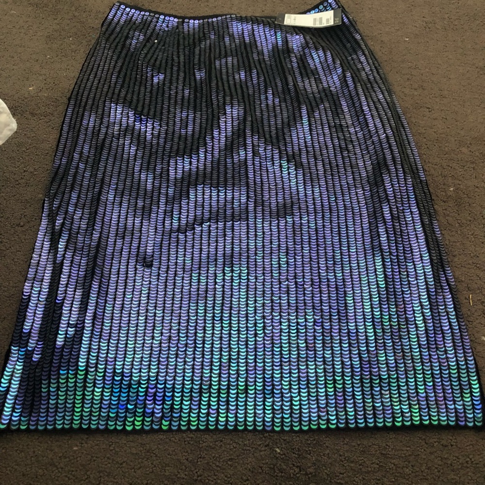 Beautiful sequins skirt!